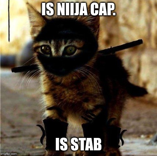 Ninja Cat | IS NIIJA CAP. IS STAB | image tagged in ninja cat | made w/ Imgflip meme maker