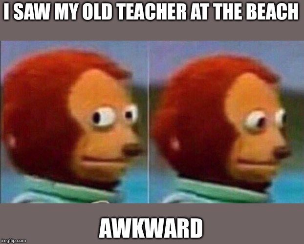 Monkey looking away | I SAW MY OLD TEACHER AT THE BEACH; AWKWARD | image tagged in monkey looking away | made w/ Imgflip meme maker