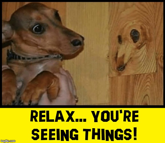 Frank, is that you? | RELAX... YOU'RE SEEING THINGS! | image tagged in vince vance,dachshund,german for badger dog,weiner dogs,snimal memes,dogs | made w/ Imgflip meme maker