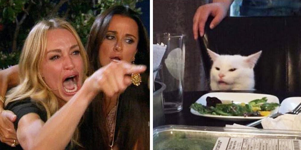 Featured image of post Smudge The Cat Meme Generator : Smudge the cat is a feline from kanata who has inspired memes from around the world for his reaction to a salad placed in front of him.