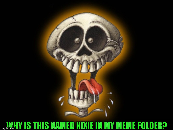 I wish I could remember why I named this Nixie when i found it. Must of have had a joke to go with it. Oh well | WHY IS THIS NAMED NIXIE IN MY MEME FOLDER? | image tagged in nixieknox,random crap | made w/ Imgflip meme maker