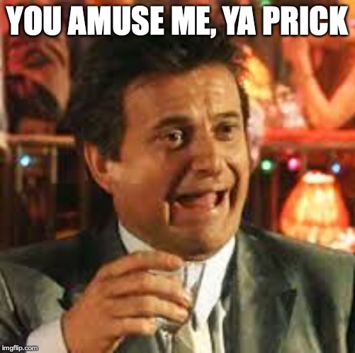 Joe Pesci | YOU AMUSE ME, YA PRICK | image tagged in joe pesci | made w/ Imgflip meme maker