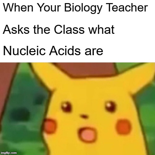 Surprised Pikachu Meme | When Your Biology Teacher; Asks the Class what; Nucleic Acids are | image tagged in memes,surprised pikachu | made w/ Imgflip meme maker