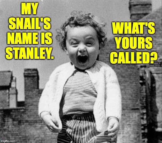 MY SNAIL'S NAME IS STANLEY. WHAT'S YOURS CALLED? | made w/ Imgflip meme maker