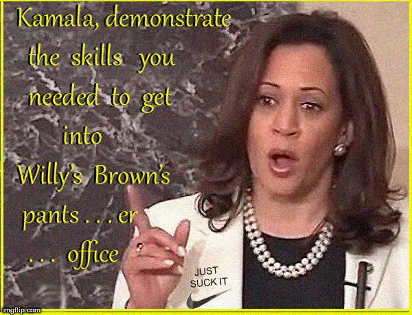 Kamala...what  skills do you have to go into politics? | image tagged in kamala harris,cocksuckers,democrats,lol so funny,funny memes,lol | made w/ Imgflip meme maker