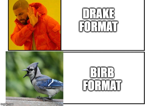 Birb format is the way to go my peeps | DRAKE FORMAT; BIRB FORMAT | image tagged in drake hotline bling,bird,birb | made w/ Imgflip meme maker