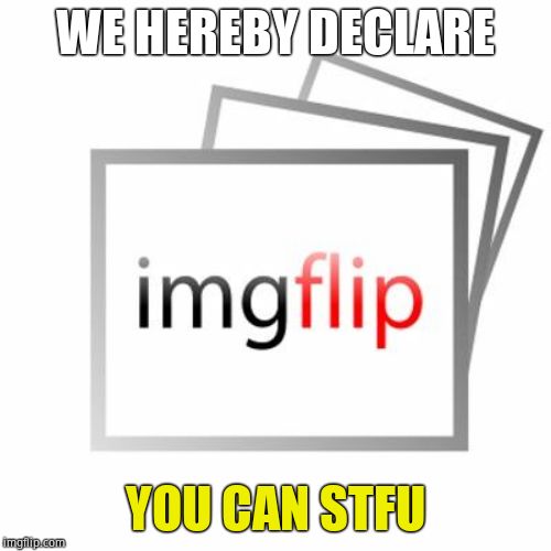 Imgflip | WE HEREBY DECLARE YOU CAN STFU | image tagged in imgflip | made w/ Imgflip meme maker