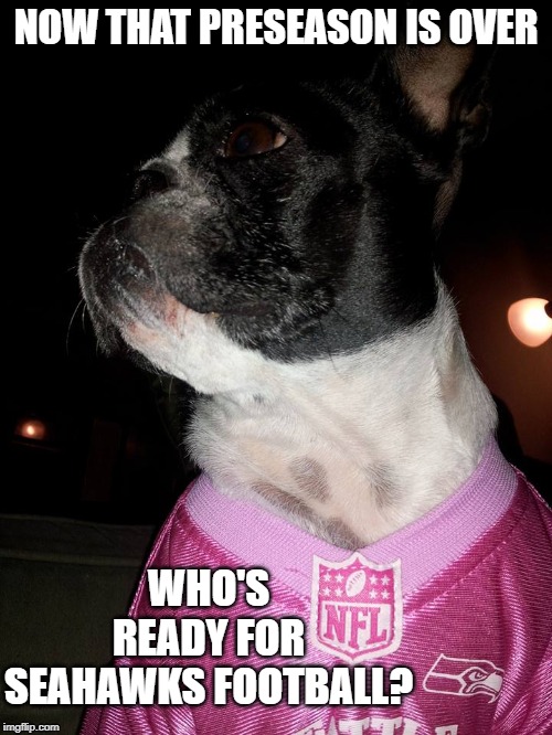 NOW THAT PRESEASON IS OVER; WHO'S READY FOR SEAHAWKS FOOTBALL? | image tagged in seattle seahawks,boston terrier,nfl memes | made w/ Imgflip meme maker