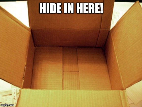empty box | HIDE IN HERE! | image tagged in empty box | made w/ Imgflip meme maker