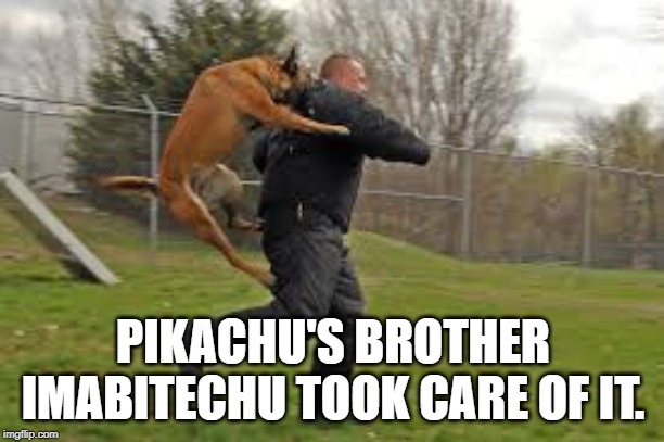 Dog Attack | PIKACHU'S BROTHER IMABITECHU TOOK CARE OF IT. | image tagged in dog attack | made w/ Imgflip meme maker