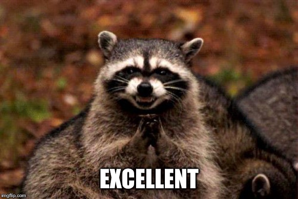 Evil Plotting Raccoon Meme | EXCELLENT | image tagged in memes,evil plotting raccoon | made w/ Imgflip meme maker