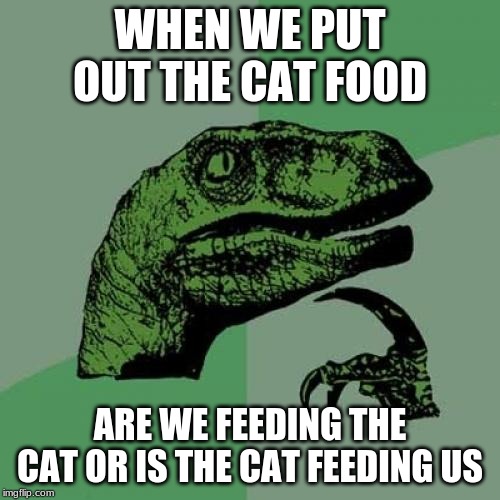 Philosoraptor Meme | WHEN WE PUT OUT THE CAT FOOD; ARE WE FEEDING THE CAT OR IS THE CAT FEEDING US | image tagged in memes,philosoraptor,cats | made w/ Imgflip meme maker