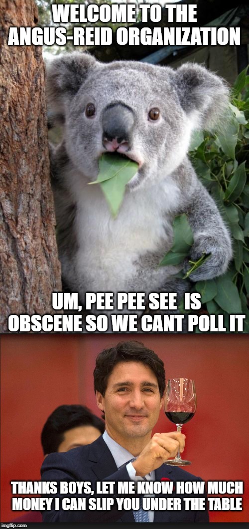 the fix is in | WELCOME TO THE ANGUS-REID ORGANIZATION; UM, PEE PEE SEE  IS OBSCENE SO WE CANT POLL IT; THANKS BOYS, LET ME KNOW HOW MUCH MONEY I CAN SLIP YOU UNDER THE TABLE | image tagged in trudeau toast,justin trudeau,trudeau,government corruption,polls,meanwhile in canada | made w/ Imgflip meme maker