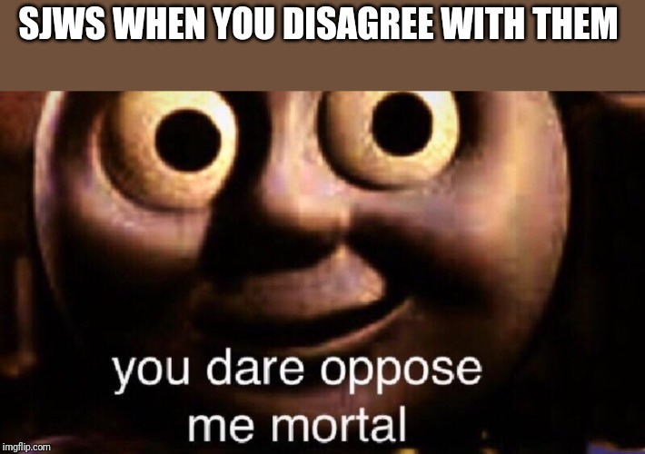 You dare oppose me mortal | SJWS WHEN YOU DISAGREE WITH THEM | image tagged in you dare oppose me mortal | made w/ Imgflip meme maker