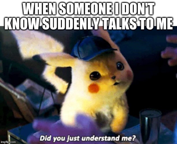 Did you just understand me? | WHEN SOMEONE I DON'T KNOW SUDDENLY TALKS TO ME | image tagged in did you just understand me | made w/ Imgflip meme maker