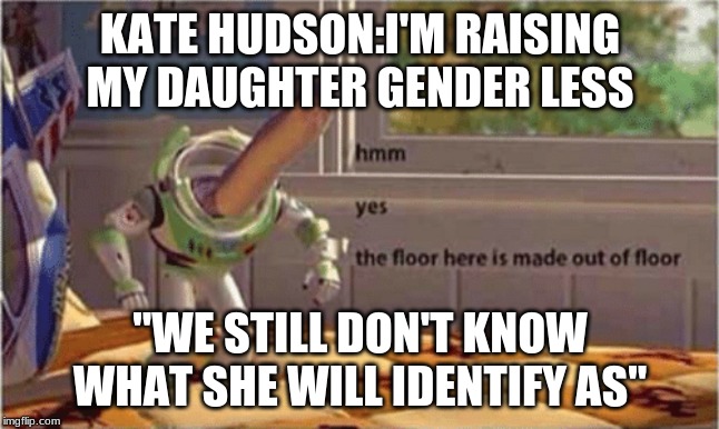 hmm yes the floor here is made out of floor | KATE HUDSON:I'M RAISING MY DAUGHTER GENDER LESS; "WE STILL DON'T KNOW WHAT SHE WILL IDENTIFY AS" | image tagged in hmm yes the floor here is made out of floor | made w/ Imgflip meme maker