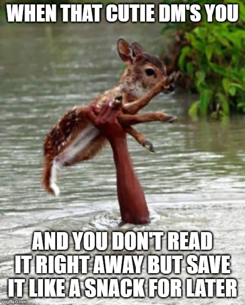 Saving Deer | WHEN THAT CUTIE DM'S YOU; AND YOU DON'T READ IT RIGHT AWAY BUT SAVE IT LIKE A SNACK FOR LATER | image tagged in saving deer | made w/ Imgflip meme maker