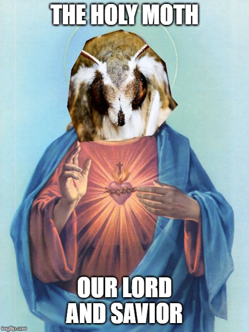 The Holy Moth | THE HOLY MOTH; OUR LORD AND SAVIOR | image tagged in meme,funny meme,moth,jesus,jesus christ,jesus meme | made w/ Imgflip meme maker