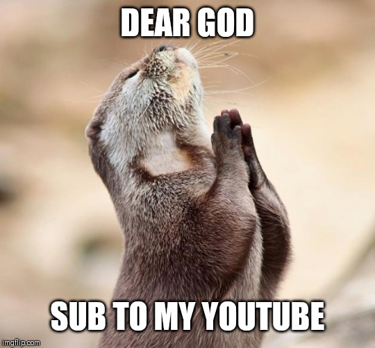 animal praying | DEAR GOD; SUB TO MY YOUTUBE | image tagged in animal praying | made w/ Imgflip meme maker