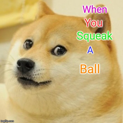 Doge | When; You; Squeak; A; Ball | image tagged in memes,doge | made w/ Imgflip meme maker