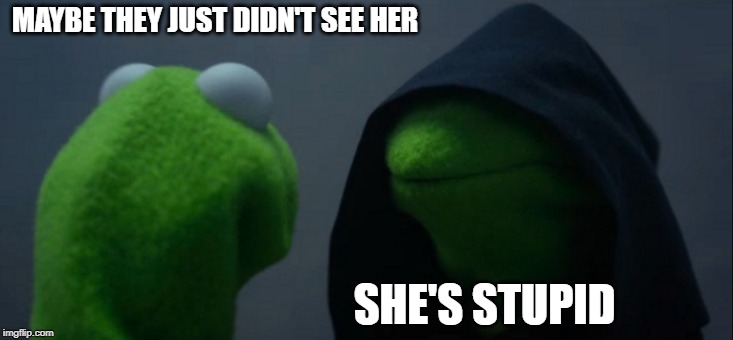 Evil Kermit Meme | MAYBE THEY JUST DIDN'T SEE HER SHE'S STUPID | image tagged in memes,evil kermit | made w/ Imgflip meme maker