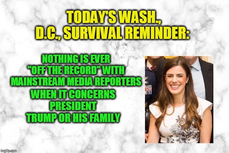 Talking "Off the Record" With the Mainstream Media | TODAY'S WASH., D.C., SURVIVAL REMINDER:; NOTHING IS EVER "OFF THE RECORD" WITH MAINSTREAM MEDIA REPORTERS; WHEN IT CONCERNS PRESIDENT TRUMP OR HIS FAMILY | image tagged in mainstream media,president trump,madeleine westerhout | made w/ Imgflip meme maker