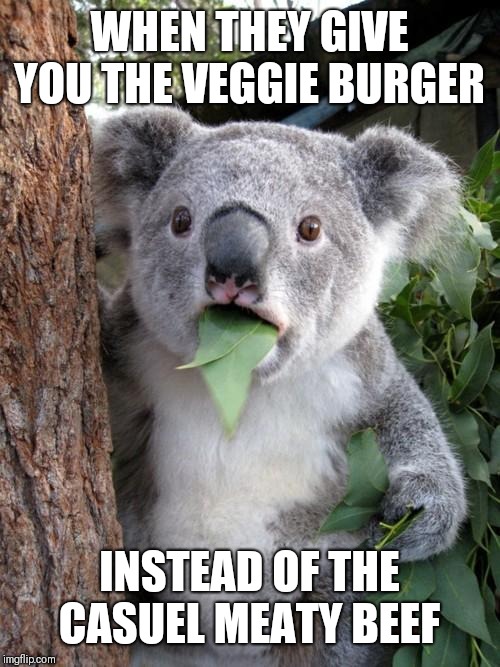Surprised Koala | WHEN THEY GIVE YOU THE VEGGIE BURGER; INSTEAD OF THE CASUEL MEATY BEEF | image tagged in memes,surprised koala | made w/ Imgflip meme maker