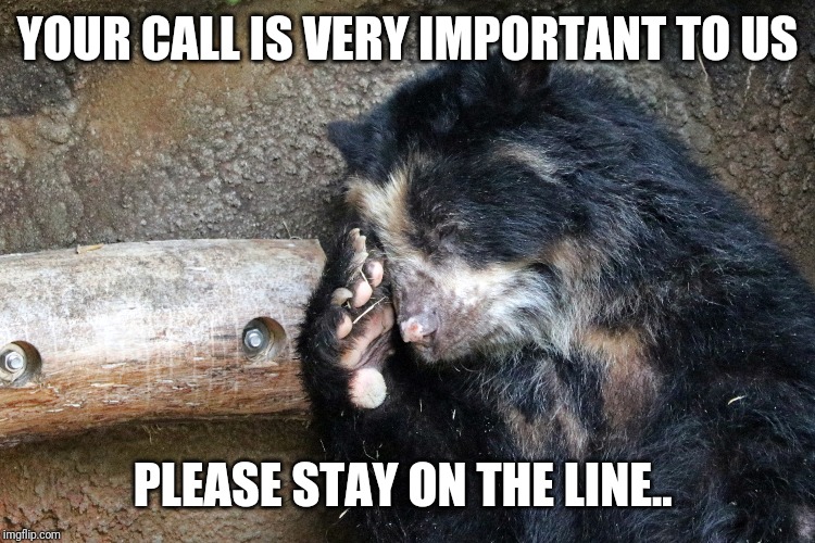 YOUR CALL IS VERY IMPORTANT TO US; PLEASE STAY ON THE LINE.. | made w/ Imgflip meme maker
