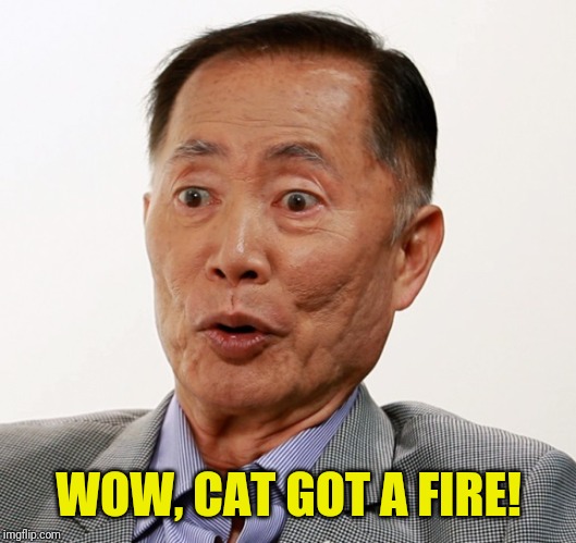 george takei oh my | WOW, CAT GOT A FIRE! | image tagged in george takei oh my | made w/ Imgflip meme maker