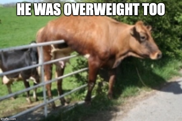 get off the fence | HE WAS OVERWEIGHT TOO | image tagged in get off the fence | made w/ Imgflip meme maker