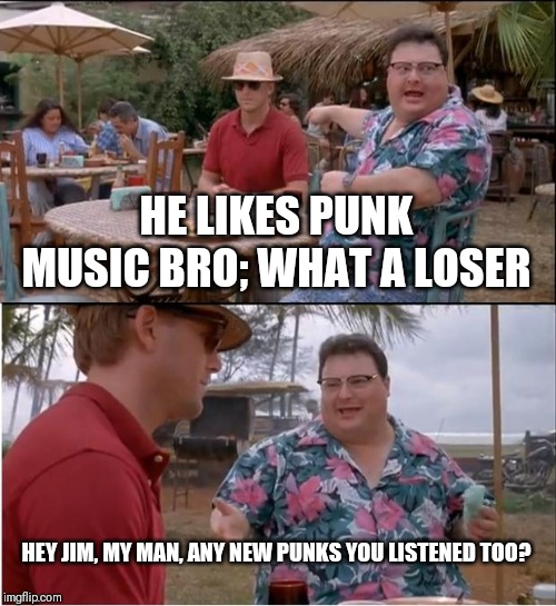 See Nobody Cares Meme | HE LIKES PUNK MUSIC BRO; WHAT A LOSER; HEY JIM, MY MAN, ANY NEW PUNKS YOU LISTENED TOO? | image tagged in memes,see nobody cares | made w/ Imgflip meme maker