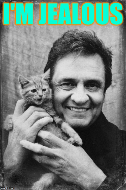 Johnny Cash Cat | I'M JEALOUS | image tagged in johnny cash cat | made w/ Imgflip meme maker