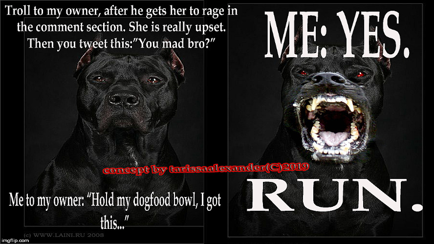 RUN TROLL RUN | image tagged in troll,you mad bro,dog,funny | made w/ Imgflip meme maker