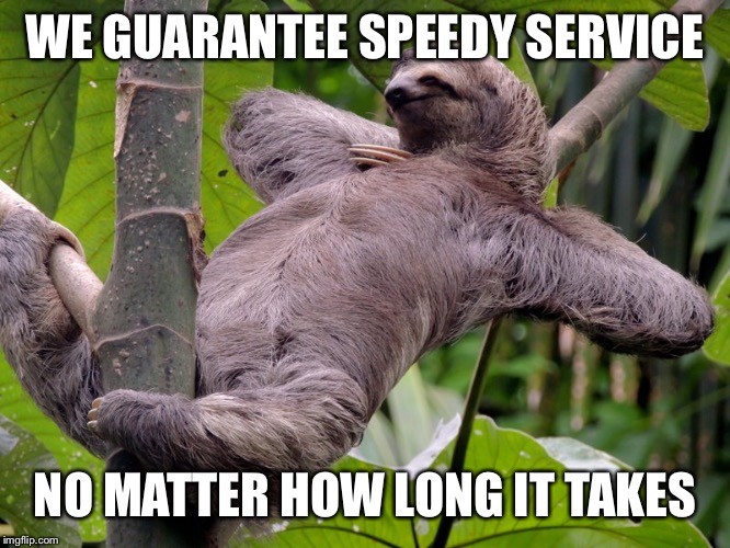 Lazy Sloth | WE GUARANTEE SPEEDY SERVICE; NO MATTER HOW LONG IT TAKES | image tagged in lazy sloth | made w/ Imgflip meme maker