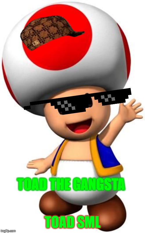 Toad | TOAD SML; TOAD THE GANGSTA | image tagged in toad | made w/ Imgflip meme maker