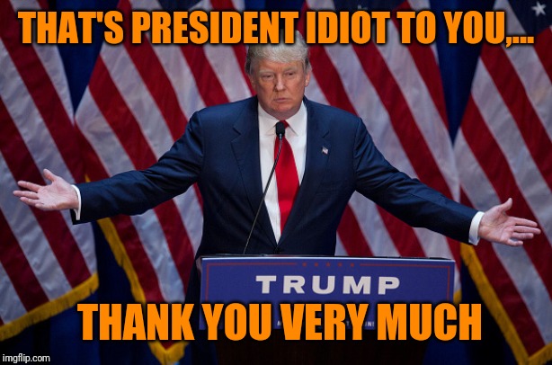 Donald Trump | THAT'S PRESIDENT IDIOT TO YOU,... THANK YOU VERY MUCH | image tagged in donald trump | made w/ Imgflip meme maker