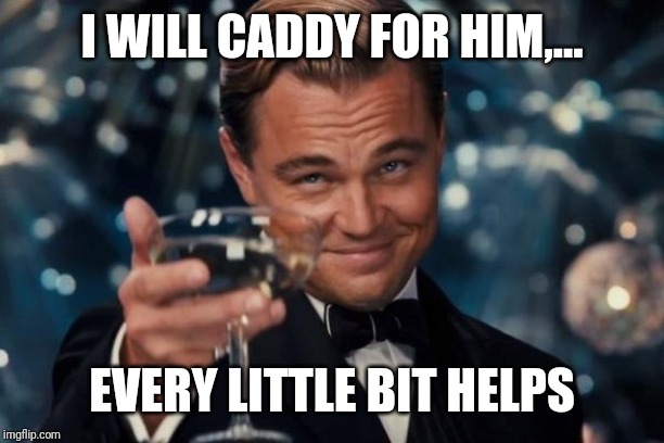 Leonardo Dicaprio Cheers Meme | I WILL CADDY FOR HIM,... EVERY LITTLE BIT HELPS | image tagged in memes,leonardo dicaprio cheers | made w/ Imgflip meme maker
