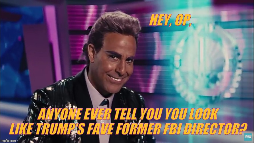 Caesar Flickerman (Stanley Tucci) | HEY, OP, ANYONE EVER TELL YOU YOU LOOK LIKE TRUMP'S FAVE FORMER FBI DIRECTOR? | image tagged in caesar flickerman stanley tucci | made w/ Imgflip meme maker