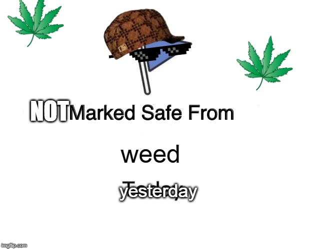 Marked Safe From Meme | NOT; weed; yesterday | image tagged in memes,marked safe from | made w/ Imgflip meme maker