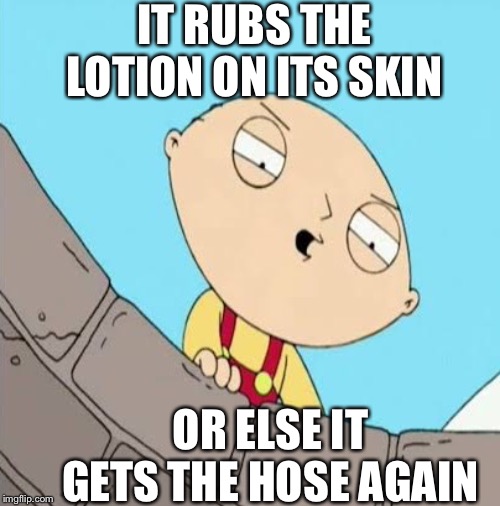 Stewie | IT RUBS THE LOTION ON ITS SKIN; OR ELSE IT GETS THE HOSE AGAIN | image tagged in family guy | made w/ Imgflip meme maker