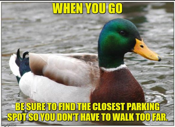 Actual Advice Mallard Meme | WHEN YOU GO BE SURE TO FIND THE CLOSEST PARKING SPOT SO YOU DON'T HAVE TO WALK TOO FAR. | image tagged in memes,actual advice mallard | made w/ Imgflip meme maker