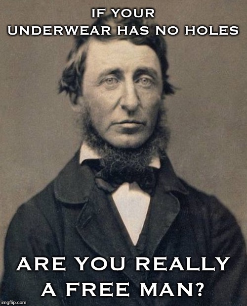 Let there be freedom | IF YOUR UNDERWEAR HAS NO HOLES; ARE YOU REALLY A FREE MAN? | image tagged in henry david thoreau | made w/ Imgflip meme maker