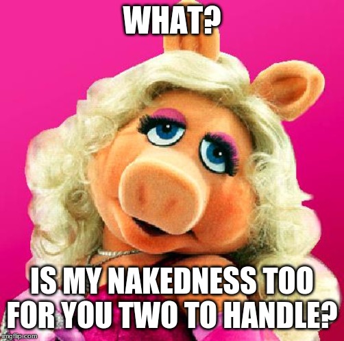 Miss Piggy | WHAT? IS MY NAKEDNESS TOO FOR YOU TWO TO HANDLE? | image tagged in miss piggy | made w/ Imgflip meme maker