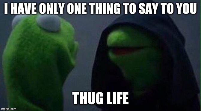 Kermit hood | I HAVE ONLY ONE THING TO SAY TO YOU THUG LIFE | image tagged in kermit hood | made w/ Imgflip meme maker