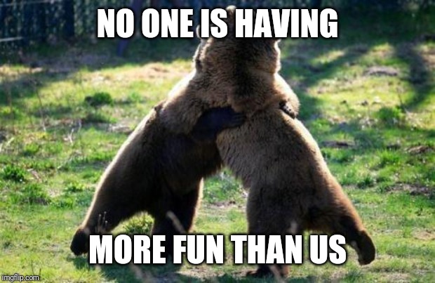 bearhug | NO ONE IS HAVING; MORE FUN THAN US | image tagged in bearhug | made w/ Imgflip meme maker