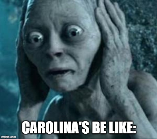 Scared Gollum | CAROLINA'S BE LIKE: | image tagged in scared gollum | made w/ Imgflip meme maker