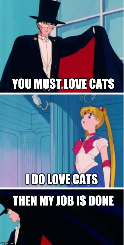 Some jobs are too easy. | YOU MUST LOVE CATS; I DO LOVE CATS; THEN MY JOB IS DONE | image tagged in sailor moon you didn't do anything | made w/ Imgflip meme maker