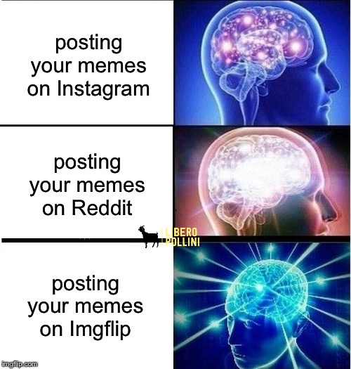 M e m e s | posting your memes on Instagram; posting your memes on Reddit; posting your memes on Imgflip | image tagged in expanding brain,memes,funny,instagram,reddit,imgflip | made w/ Imgflip meme maker
