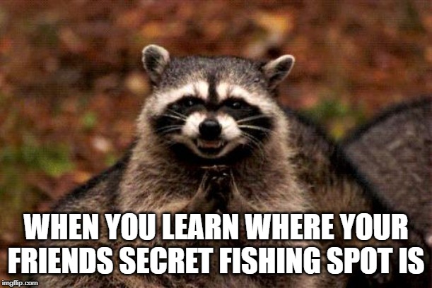 Evil Plotting Raccoon | WHEN YOU LEARN WHERE YOUR FRIENDS SECRET FISHING SPOT IS | image tagged in memes,evil plotting raccoon | made w/ Imgflip meme maker