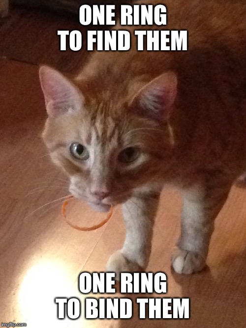 My precious | ONE RING TO FIND THEM; ONE RING TO BIND THEM | image tagged in funny memes,funny | made w/ Imgflip meme maker